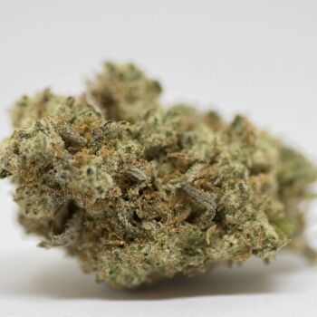 Marijuana Strains For Sale In Denver The Lodge Cannabis
