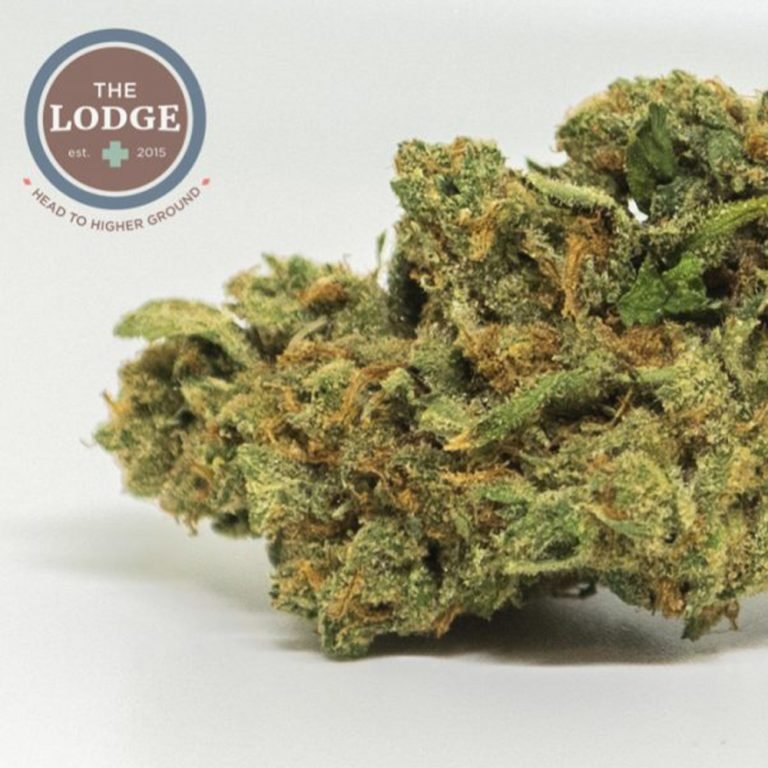 Cherry Lime Haze Strain Review The Lodge Cannabis Denver