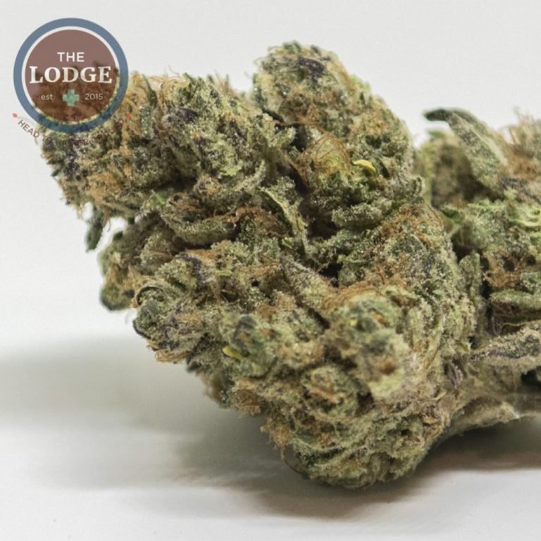 Grease Monkey Strain Review The Lodge Cannabis Denver