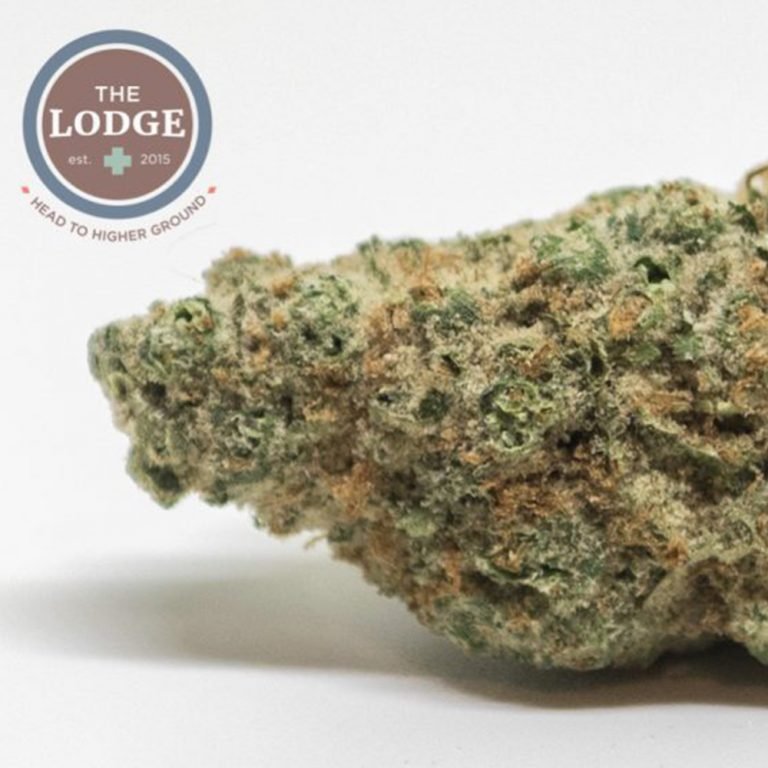 Jungle cake Strain Review The Lodge Cannabis Denver