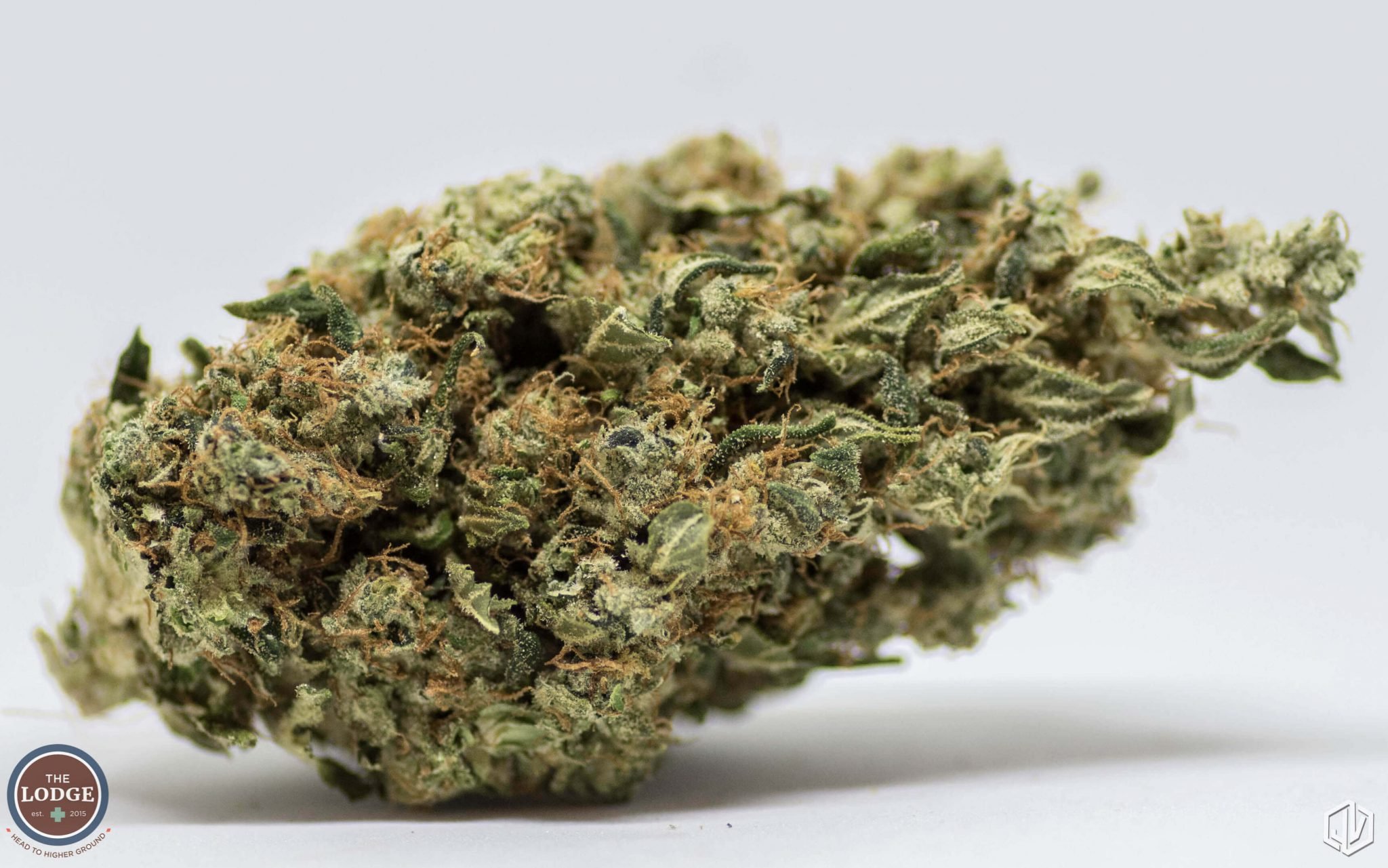 Mimosa Strain Review - The Lodge Cannabis Denver.
