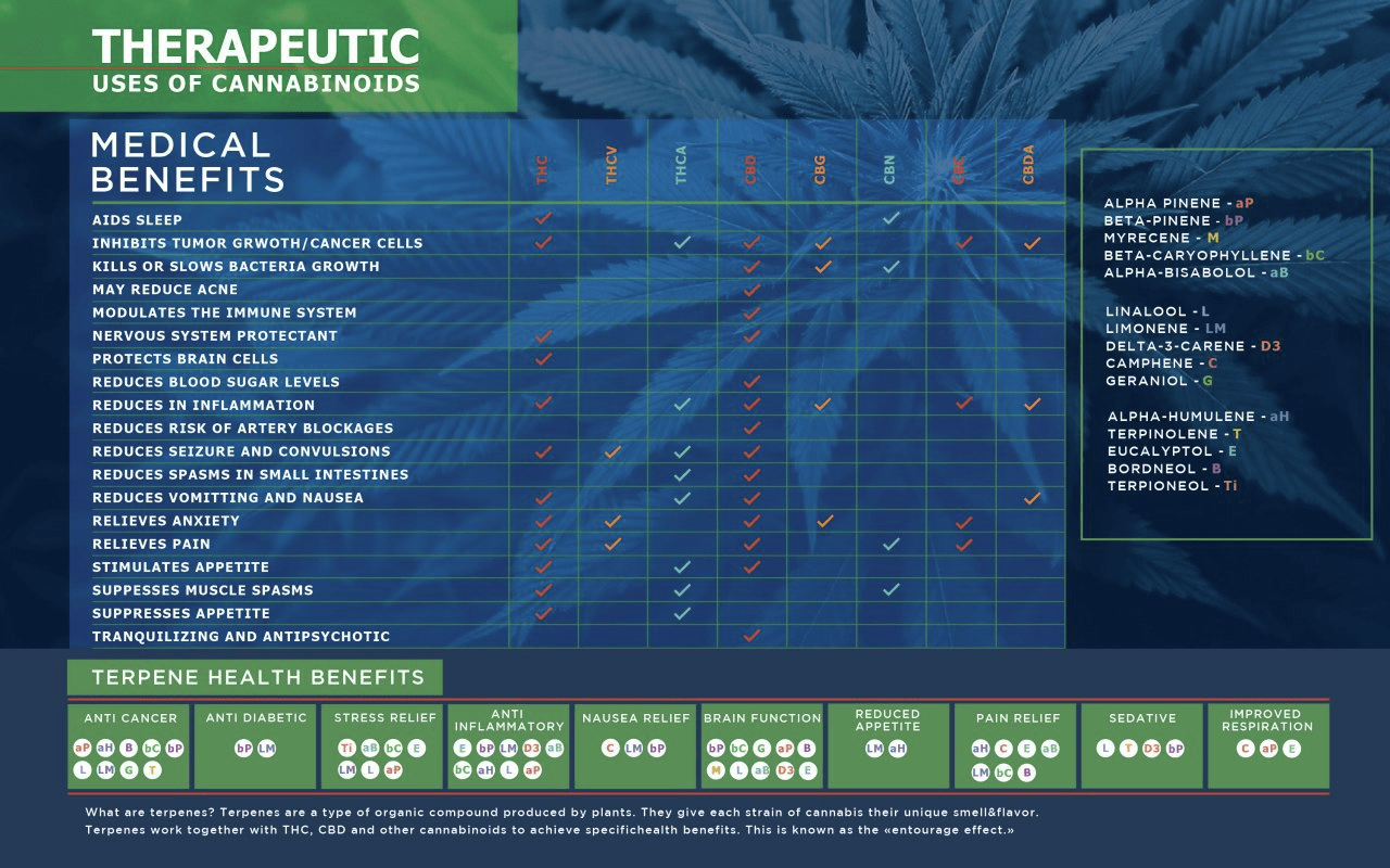 therapeutic uses of cannabis