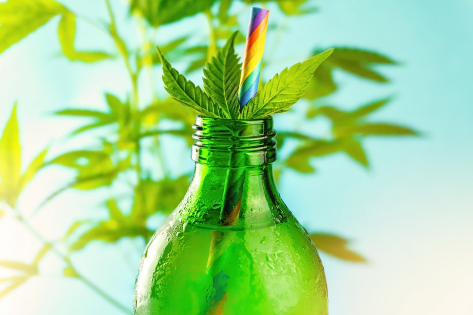 Are Weed Beverages The New Edibles The Lodge Cannabis 5424