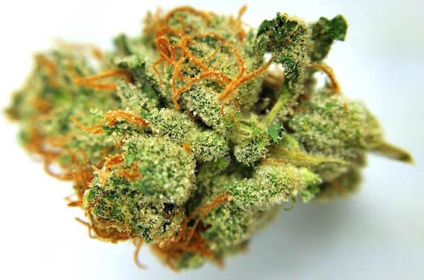 Buy Bay Area exotics cannabis buds