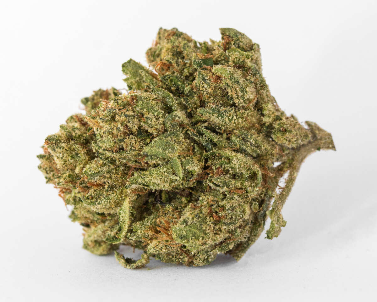 10 Most Exotic Weed Strains 2022 The Lodge Cannabis