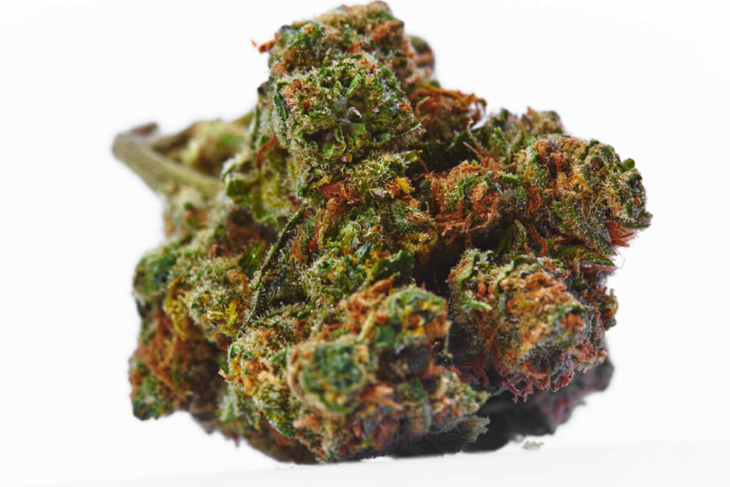 Buy Bay Area exotics cannabis buds