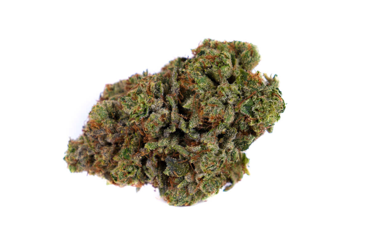 Dosi Cake Weed | Online Dispensary Canada | Bulk Buddy Store