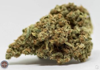 Top 7 Strongest Weed Strains 2022 - The Lodge Cannabis