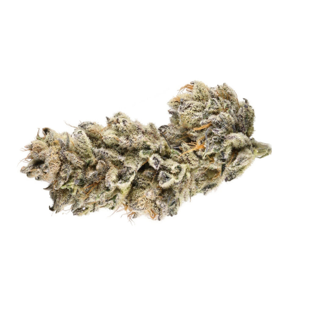 Purple punch Strain Review The Lodge Cannabis Denver