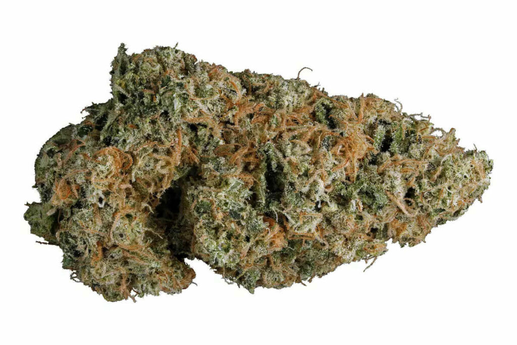 Best Weed Strains for Energy and Productivity