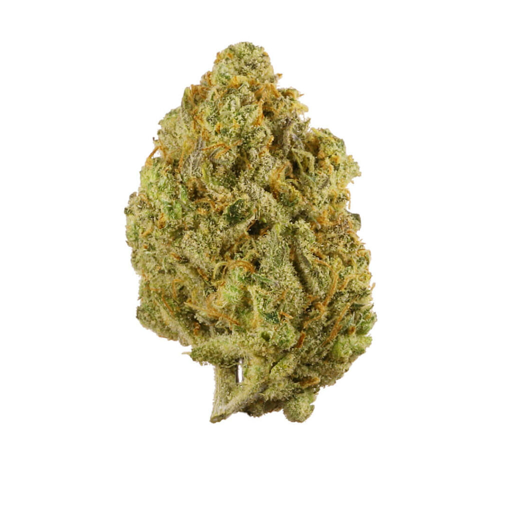 limoncello strain allbud