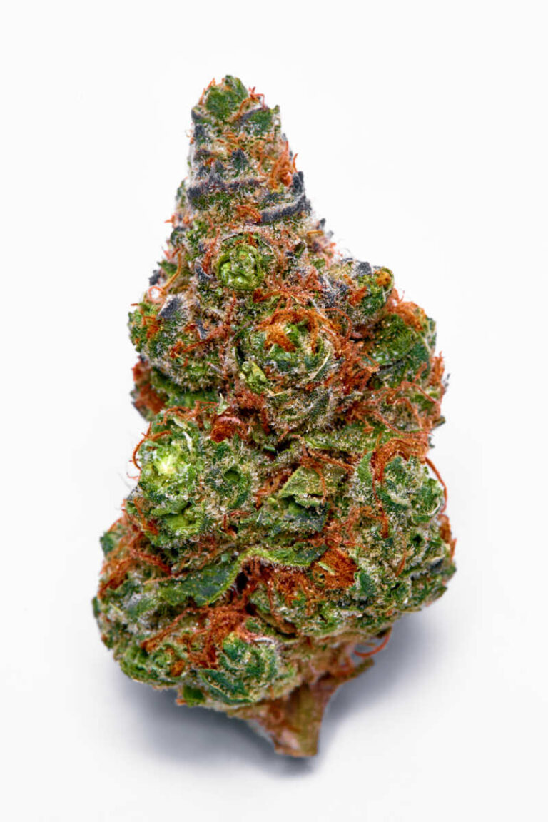 Blueberry Muffin Strain Review The Lodge Cannabis Denver