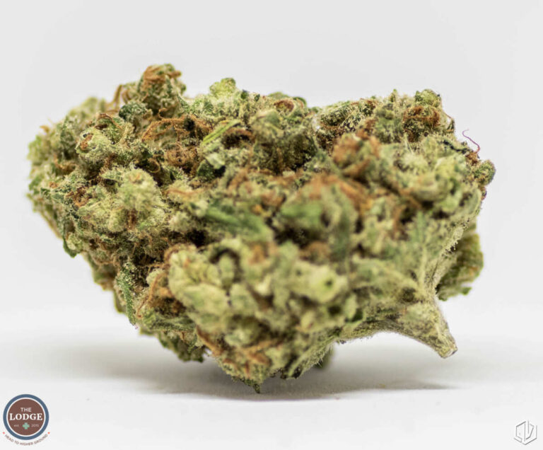 Jet Fuel Strain Review The Lodge Cannabis Denver