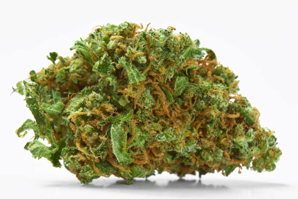 6 Best Sour Weed Strains - The Lodge Cannabis