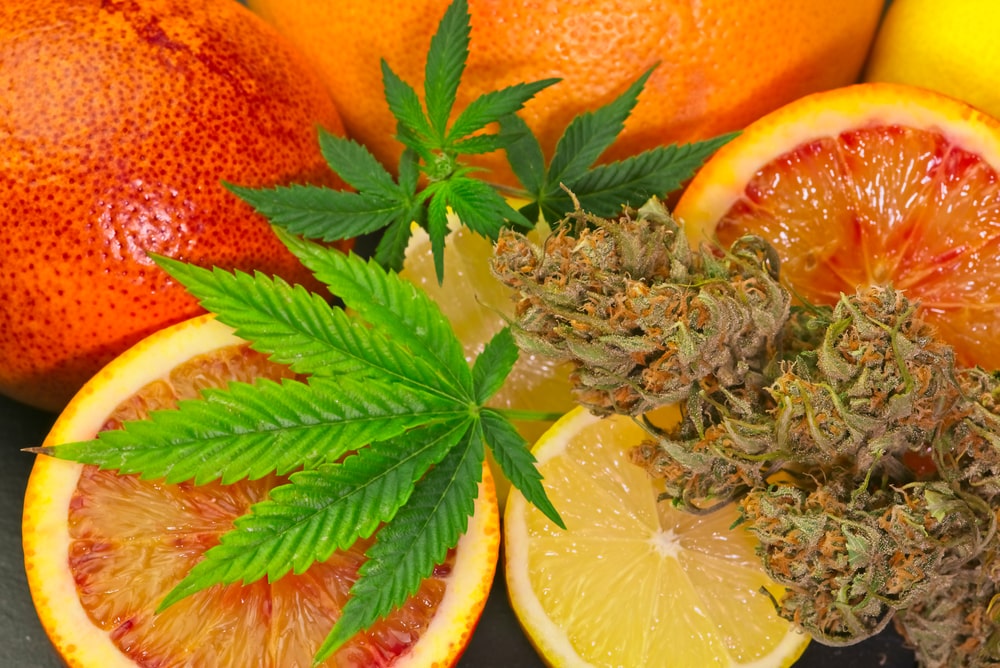 Fruity Weed Strains