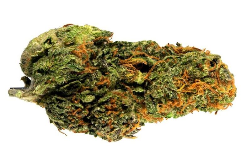 Loudest Smelling Strains gassy, diesel, skunky, earthy weed strains