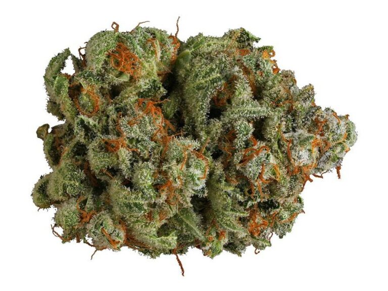 10 Best Tasting Weed Strains The Lodge Cannabis