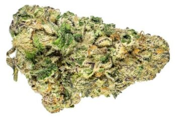 10 Best Tasting Weed Strains - The Lodge Cannabis