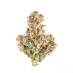 Top 10+ Strongest Sativa Strains 2022 - The Lodge Cannabis