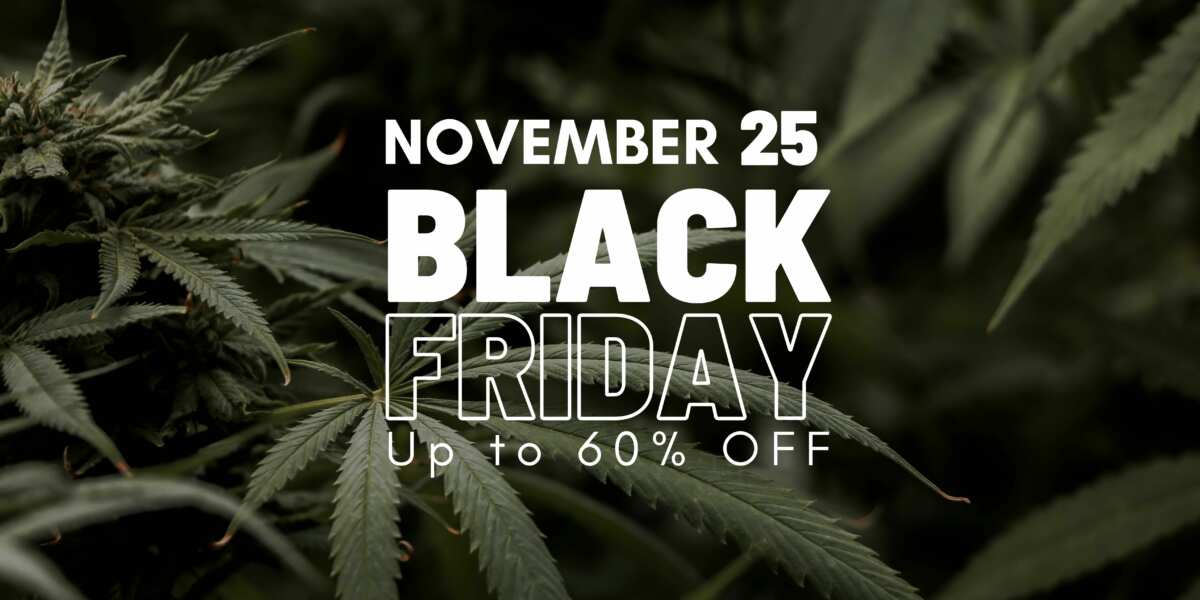 Black Friday Weed Deals at The Lodge Dispensaries