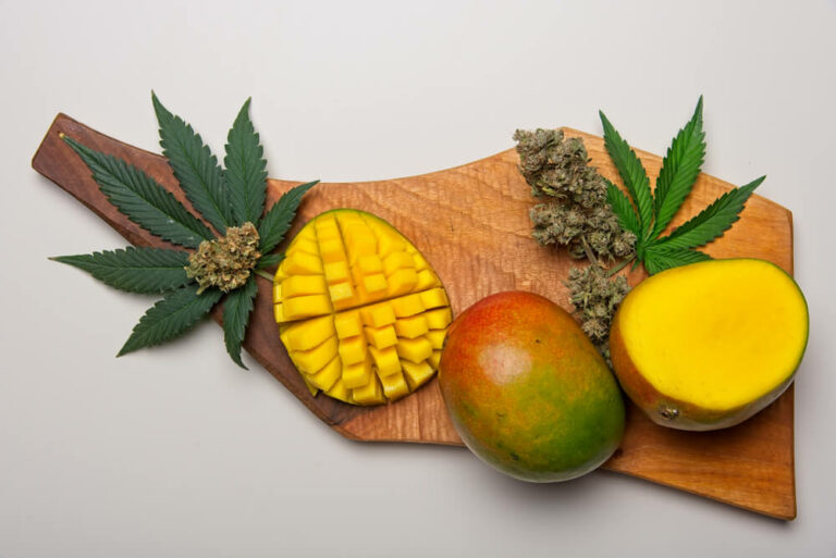 Mango and Weed Does Mango Increase Your High?