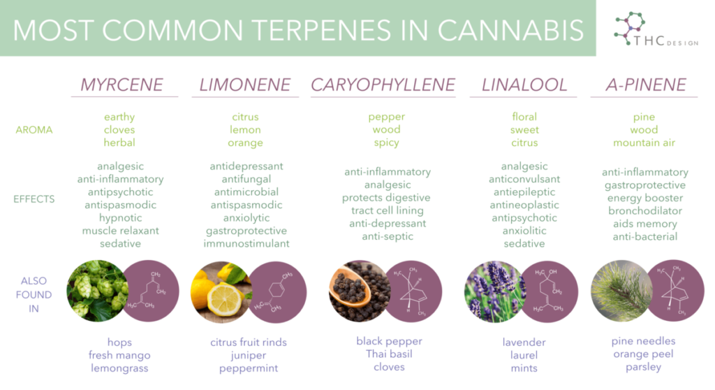 Cannabis terpenes smells and affects