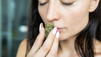 What Does Weed Smell Like: Most Common Marijuana Flavors