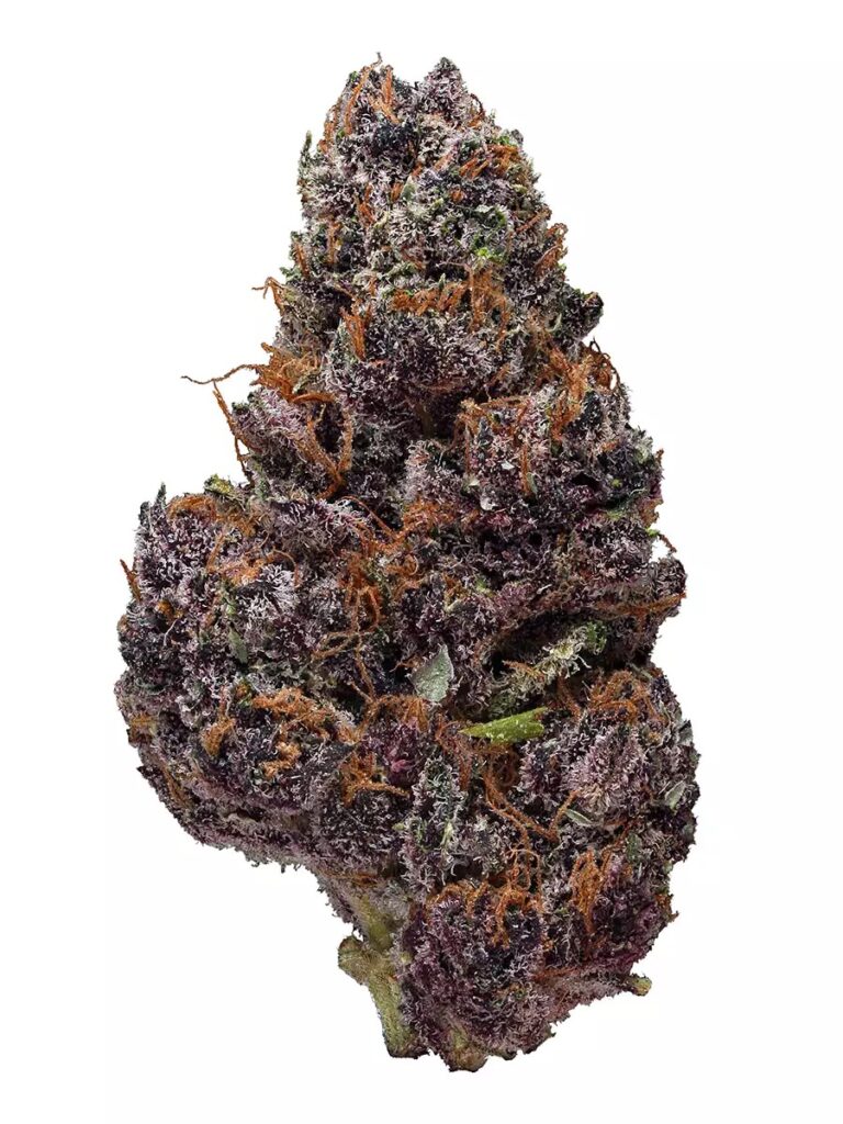 Black Cherry Soda strain