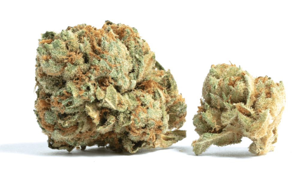 Cherry Garcia cannabis flower